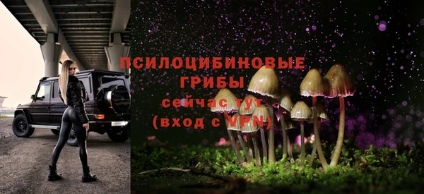 твердый Абинск