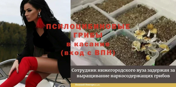 твердый Абинск