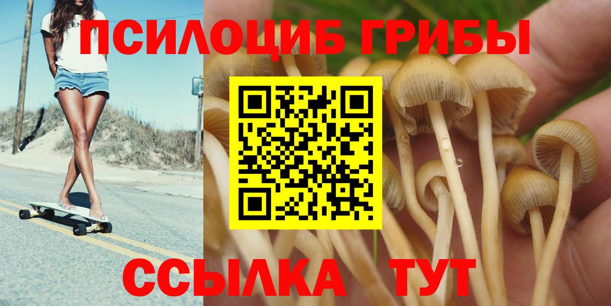 Псилоцибиновые грибы ЛСД  Вход с VPN  Прохладный 