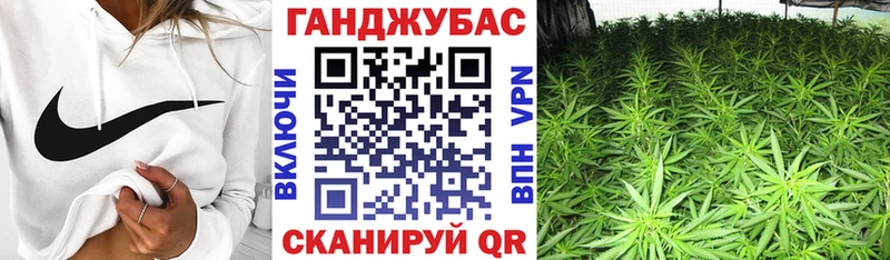 Каннабис план  Прохладный 